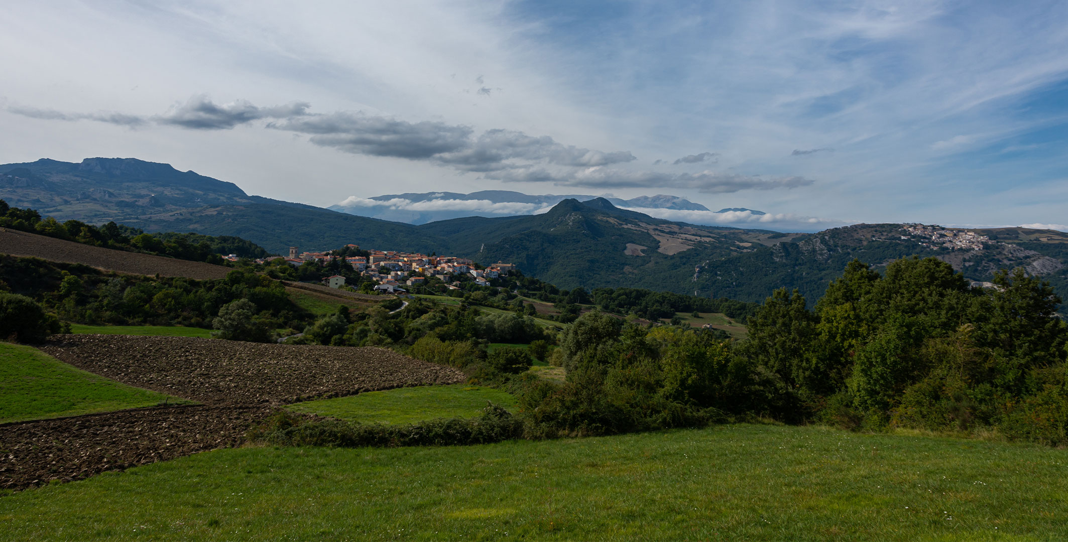 scopri-borrello